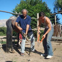 Couple working at barn