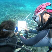 divers working underwater
