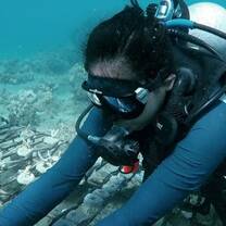 Coral Transplantation