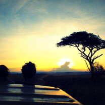 Sunset overlooking an acacia tree