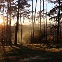 Camp sunset
