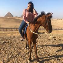 Visiting the Pyramids, horse back riding, and a Sound and Light Show at the Pyramids.