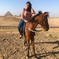 Visiting the Pyramids, horse back riding, and a Sound and Light Show at the Pyramids.