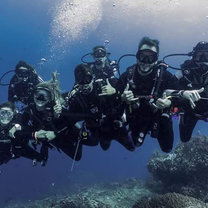 After becoming a Divemaster i was guiding the trainees on their dives conducting surveys. I miss these guys a lot 