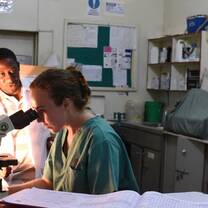 A student on the Global Health track studies under the instruction of a Ugandan expert