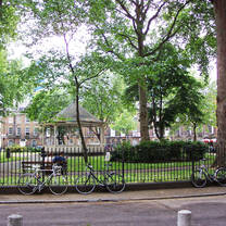 City University's campus