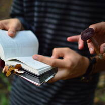 Mushroom identification class