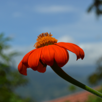 Summer High School in Costa Rica