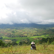 A woman squats in the grass and looks out over the rice fields below. 