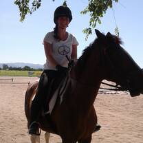 equi horse