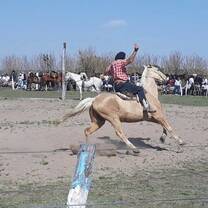 cba doma