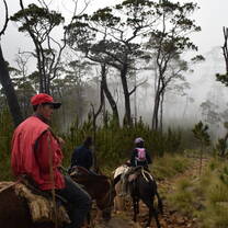hiking pico duarte on mules