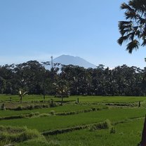 Morning view