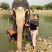 Meeting elephants on the first day