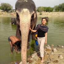 Meeting elephants on the first day