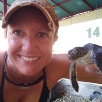 Turtle time