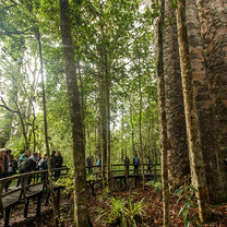 Study abroad in Auckland with IES Abroad