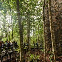 Study abroad in Auckland with IES Abroad