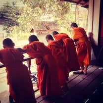Buddhist Novice Monks