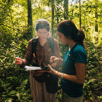 mammal monitoring