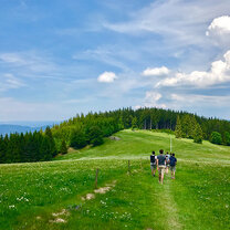 Study in Freiburg with IES Abroad