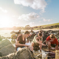 New Zealand Global Prep