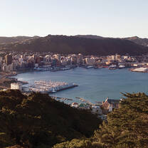 New Zealand Global Prep