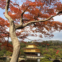 study in Nagoya with IES abroad