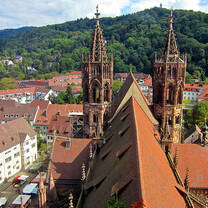 Study in Freiburg with IES Abroad