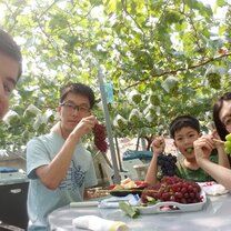 The end of our grape picking on host family day Grape picking