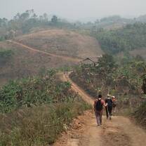 Local land surrounding the elephant camps in Chiang Mai, Thailand