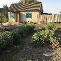 Small home surrounded by a beautiful garden