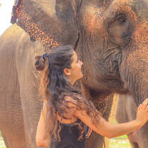 Staring in to an elephants eye