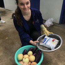 Pandas don't eat just bamboo - preparing other food for them