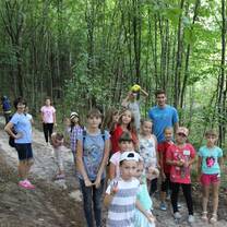 A hike in the beautiful forest!
