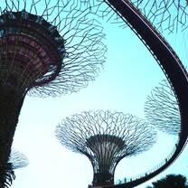 Attending the famous light show, at Gardens by the Bay