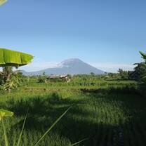 Bali is an Indonesian island known for its not only beaches & surf but also forested volcanic mountains and rice paddies