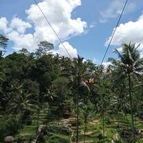 Subak water management system allocates water to irrigate rice terraces in the hills