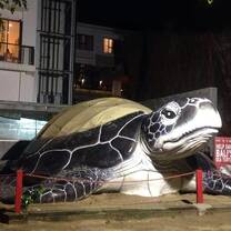 Kuta beach in Bali Island is the nesting area for sea turtles drifting from the deeper sea to raise eggs on the beach ground during April-October. The area has grown & urbanized. Consequently, destruction of the ground and turtle eggs is the result.
