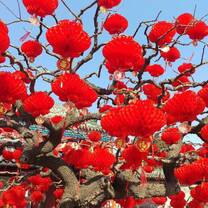 Study Chinese online with Culture Yard