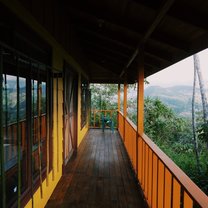 View from the yoga studio at a sustainable commune we visited. 