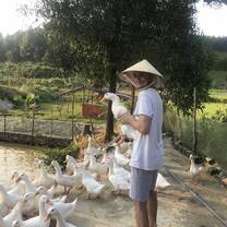 Duck stop!