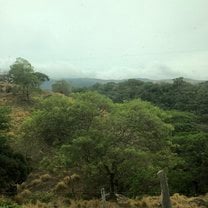 The views 