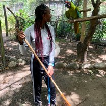 While cleaning the green macaw enclosure, one happened to fly right up to me and my friend was nice enough to capture the moment. 
