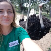 Ostrich