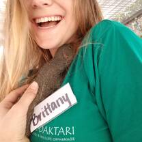 Mongoose