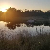 Sunset run