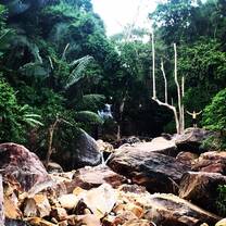 Go Chasing Waterfalls