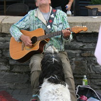 Beautiful moment in Queenstown, both the dog and the boss are singing. 