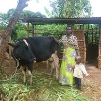 Local community 